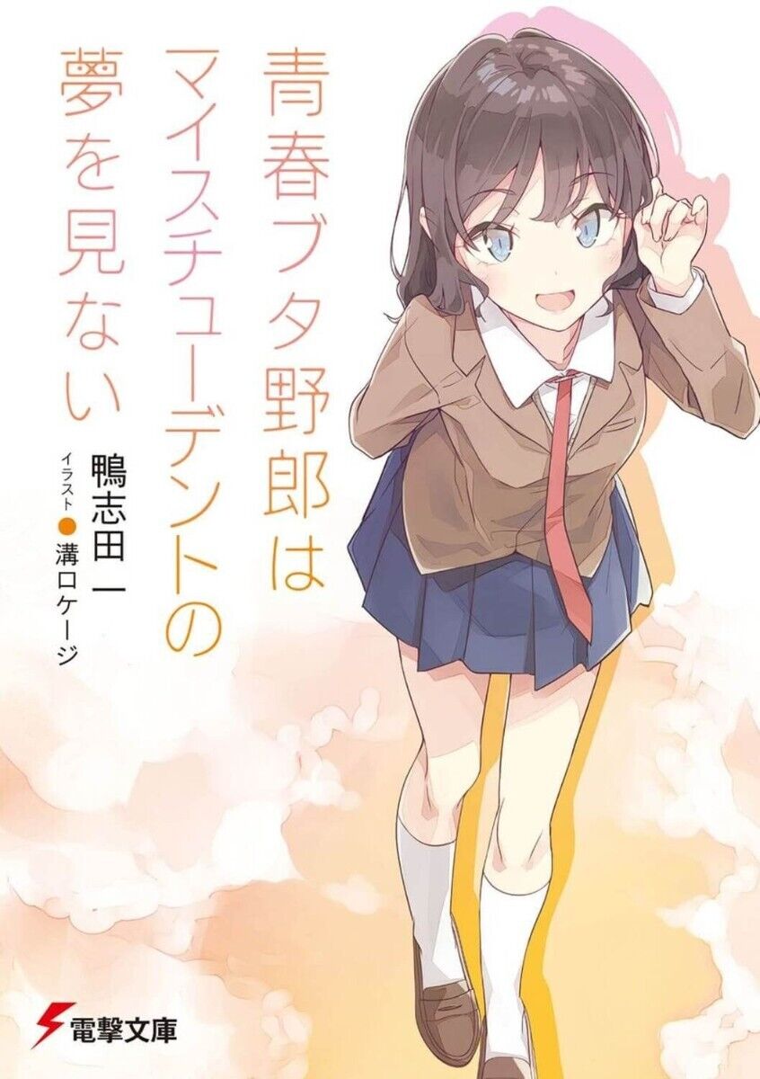 Rascal Does Not Dream of Bunny Girl Senpai Vol.1-13 Latest Full Set Novel (not manga)