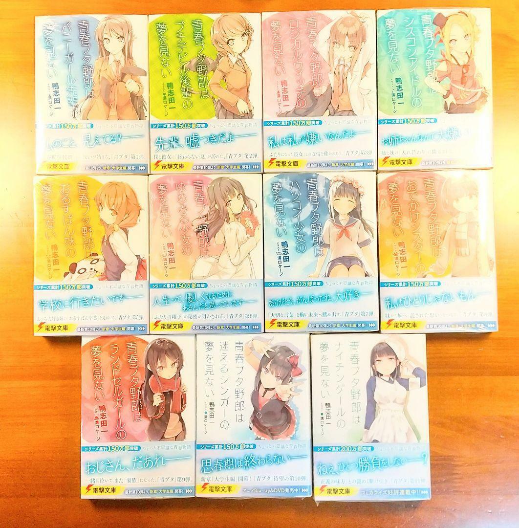 Rascal Does Not Dream of Bunny Girl Senpai Vol.1-13 Latest Full Set Novel (not manga)