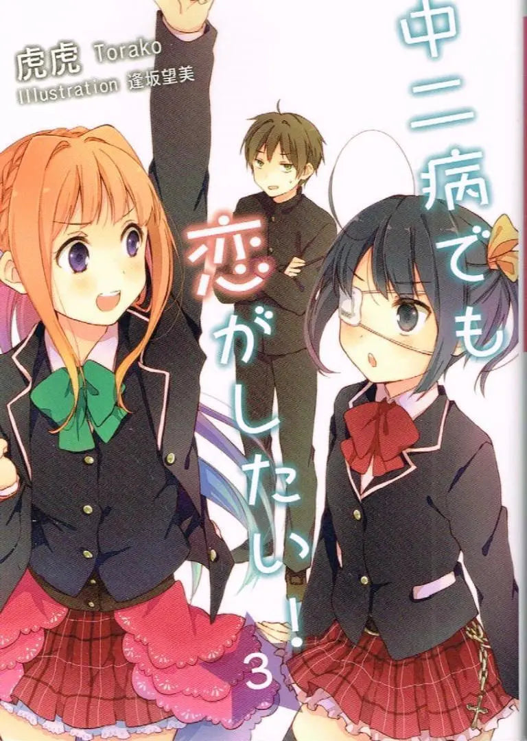 Love, Chunibyo & Other Delusions Vol.1-4 Complete Full Set Japanese Light Novel